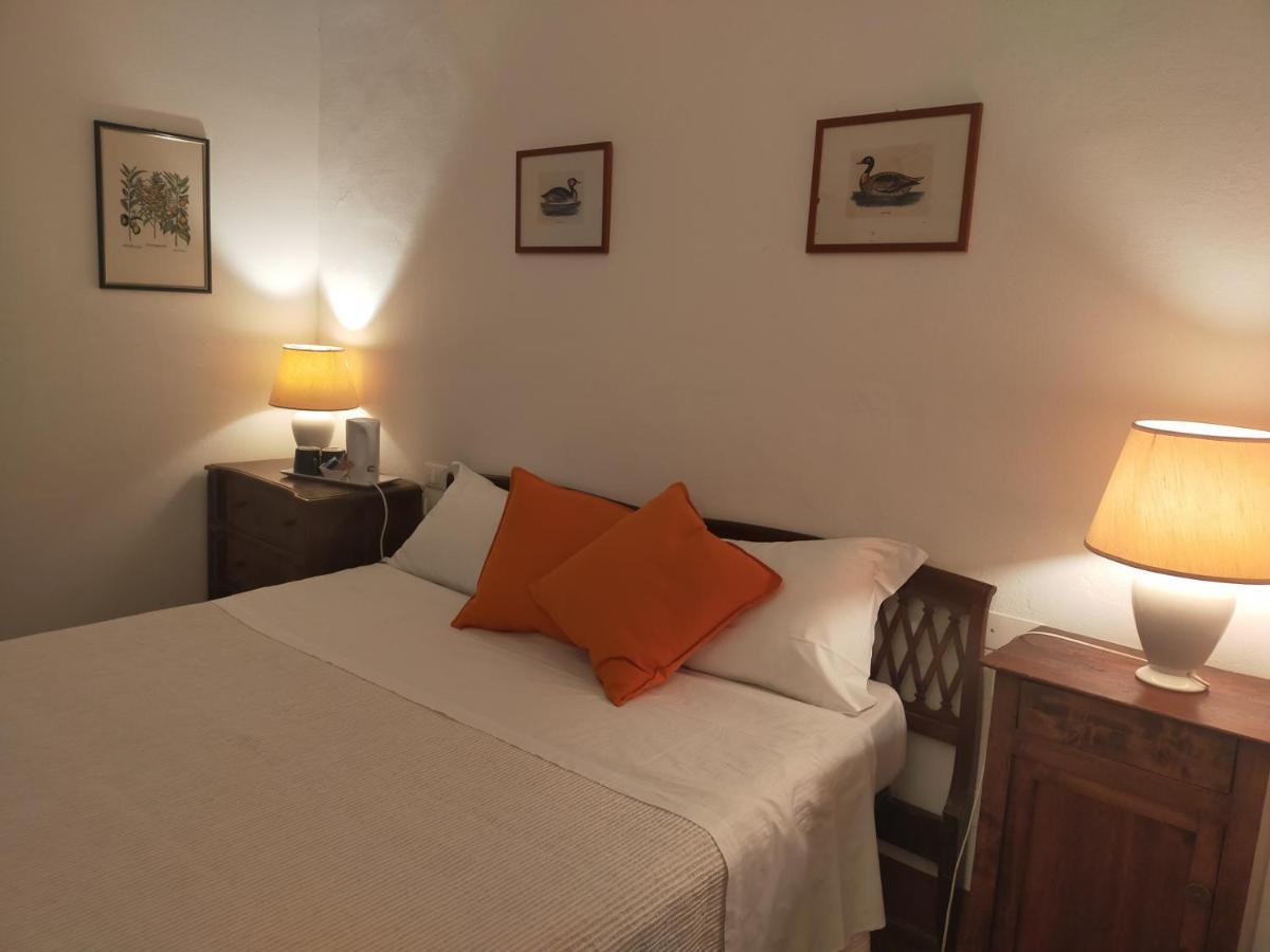 Tenuta Mocajo Guardistallo Exteriör bild